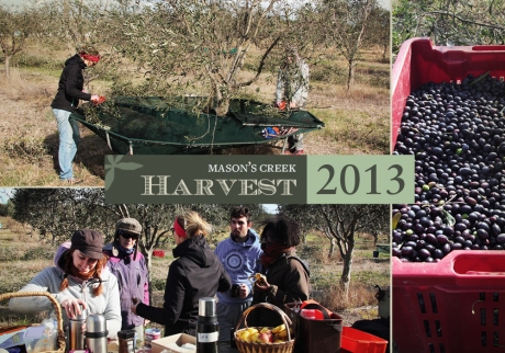 Harvest2013